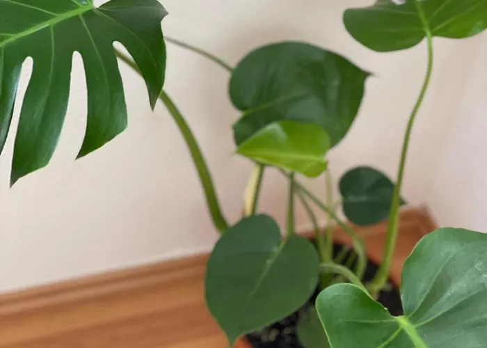 Apartment Sam & Karo Boutique