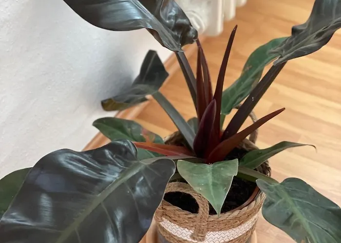 Sam & Karo Boutique Apartment